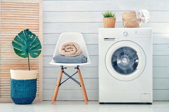 Washer with plant